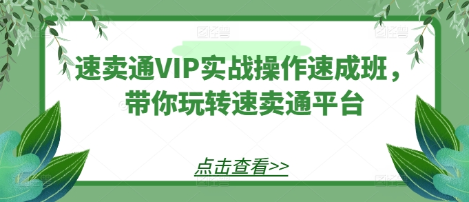 速卖通VIP实战操作速成班,带你玩转速卖通平台插图 速卖通VIP实战操作速成班,带你玩转速卖通平台