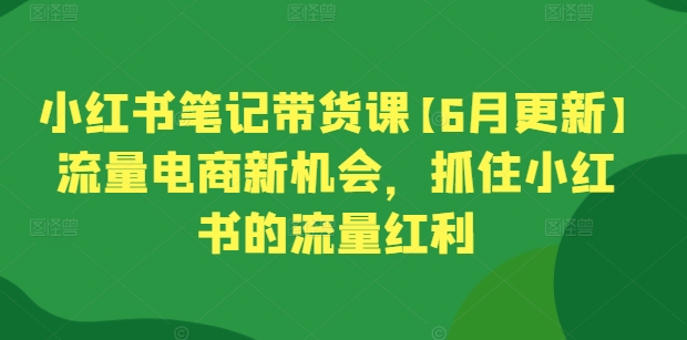 小红书笔记带货课【6月更新】流量电商新机会,抓住小红书的流量红利插图 小红书笔记带货课【6月更新】流量电商新机会,抓住小红书的流量红利
