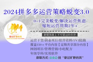 2024拼多多运营策略蜕变3.0，0-1完美蜕变，解决运营焦虑，缩短运营周期2年+