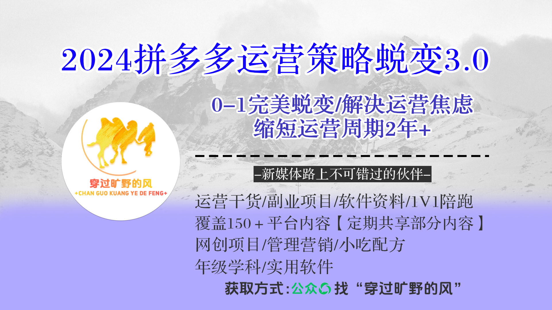 2024拼多多运营策略蜕变3.0，0-1完美蜕变，解决运营焦虑，缩短运营周期2年+插图