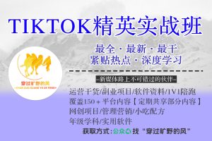 TIKTOK精英实战班，最全·最新·最干·紧贴热点·深度学习