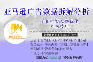 亚马逊广告数据拆解分析，分析框架/层级优化/打法技巧