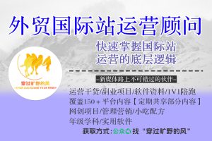 外贸国际站运营顾问，快速掌握国际站运营的底层逻辑