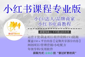小红书课程专业版，小白，达人，品牌商家，小红书电商教程
