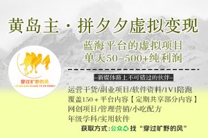 黄岛主·拼夕夕虚拟变现3.0，蓝海平台的虚拟项目，单天50-500+纯利润