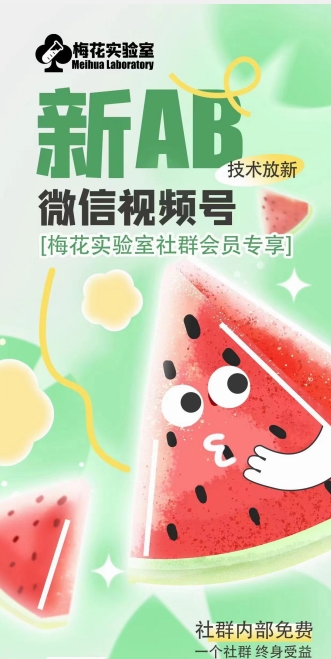 梅花实验室2024年AB技术视频号AB合成破解版插图 梅花实验室2024年AB技术视频号AB合成破解版