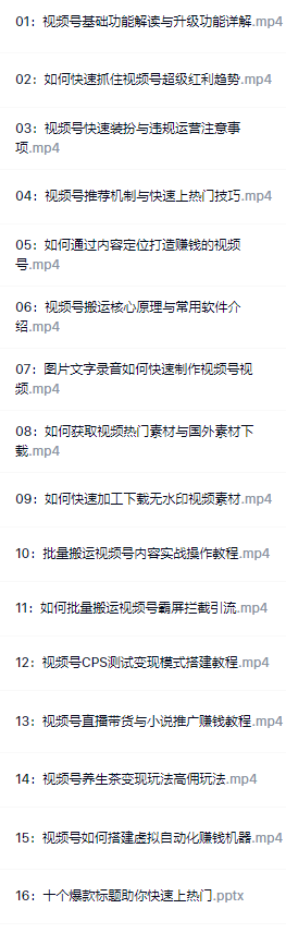 视频号批量搬运实战赚钱教程插图1