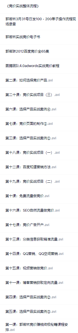 郭若林竞价赚钱终极秘籍插图1