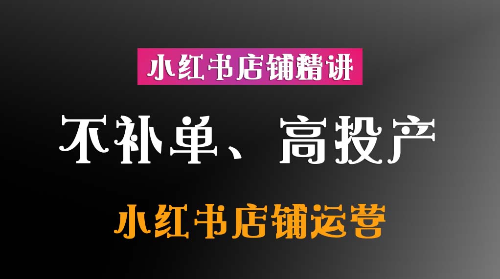 不补单、高投产的小红书店铺运营【VIP专享资源】