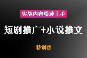 短剧推广+小说推文风火特训营【实战内容快速上手】