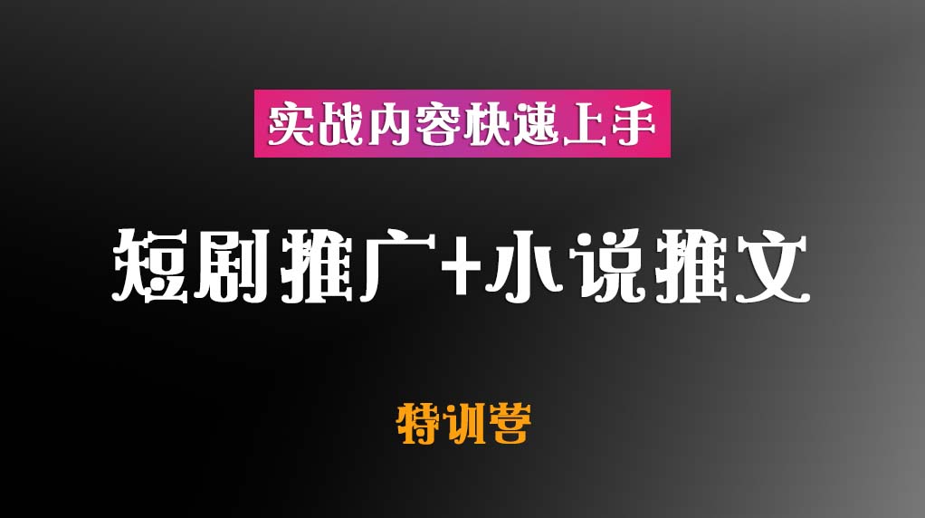 短剧推广+小说推文风火特训营【实战内容快速上手】插图