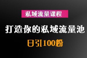 私域流量课程：日引100粉，打造你的私域流量池！