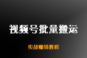 视频号批量搬运实战赚钱教程