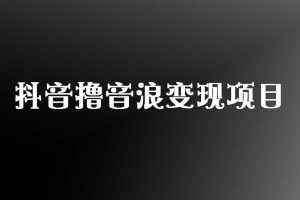 抖音撸音浪变现项目【实战内容】
