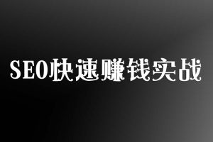 SEO快速赚钱实战
