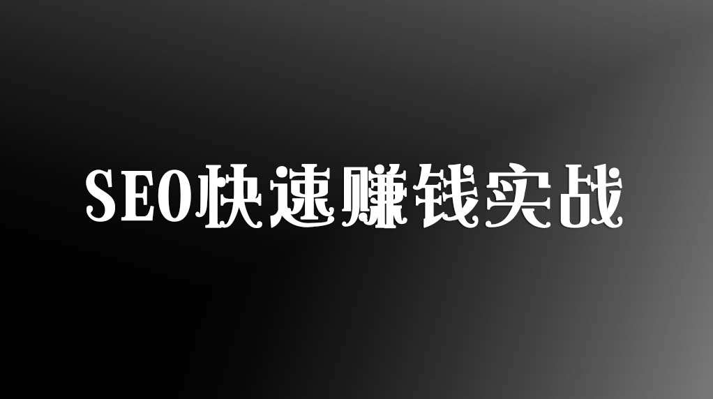 SEO快速赚钱实战插图