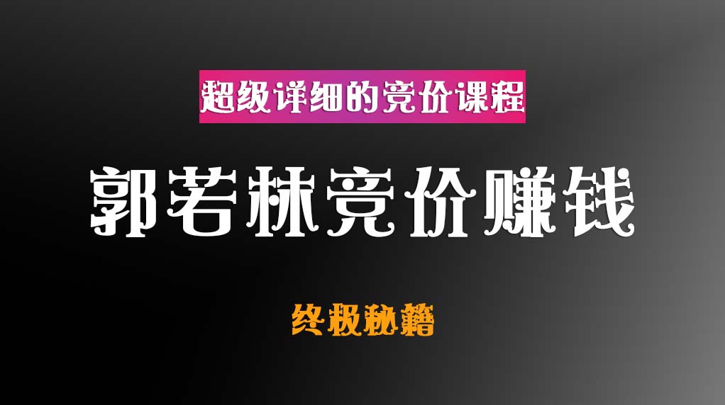 郭若林竞价赚钱终极秘籍插图