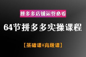 64节拼多多实操课程【基础课+高级课】