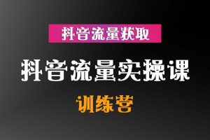 抖音流量实操训练营
