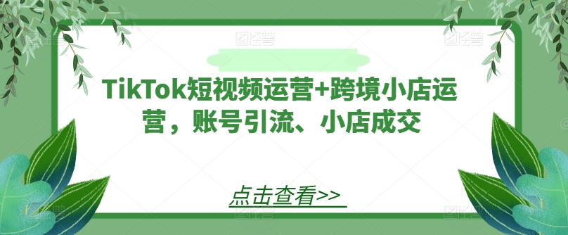 TikTok短视频运营+跨境小店运营,账号引流、小店成交插图 TikTok短视频运营+跨境小店运营,账号引流、小店成交
