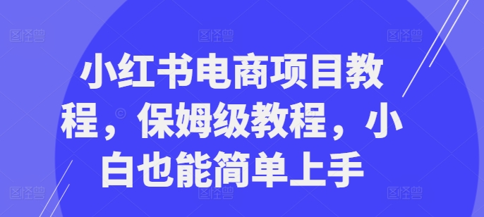 小红书电商项目教程,保姆级教程,小白也能简单上手插图 小红书电商项目教程,保姆级教程,小白也能简单上手