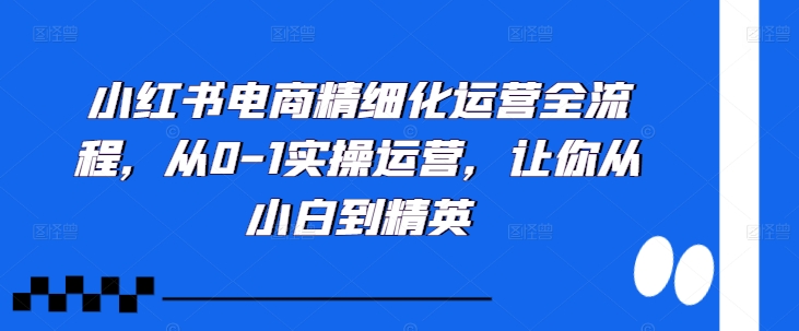 小红书电商精细化运营全流程,从0-1实操运营,让你从小白到精英插图 小红书电商精细化运营全流程,从0-1实操运营,让你从小白到精英