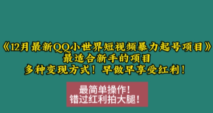 12月最新QQ小世界短视频暴力起号项目,最适合新手的项目,多种变现方式插图 12月最新QQ小世界短视频暴力起号项目,最适合新手的项目,多种变现方式