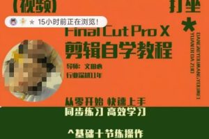 轻松玩转剪辑系统课，从零开始快速上手，同步练习高效学习，思维提升从简到难