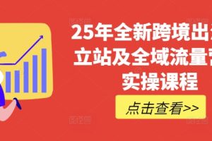 25年全新跨境出海独立站及全域流量营销实操课程，跨境电商独立站TIKTOK全域营销普货特货玩法大全