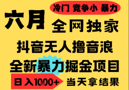 25年6月高爆抖音无人直播最新撸音浪掘金项目,小白可做,无脑日入1k+,门槛低可批量矩阵【揭秘】插图 25年6月高爆抖音无人直播最新撸音浪掘金项目,小白可做,无脑日入1k+,门槛低可批量矩阵【揭秘】