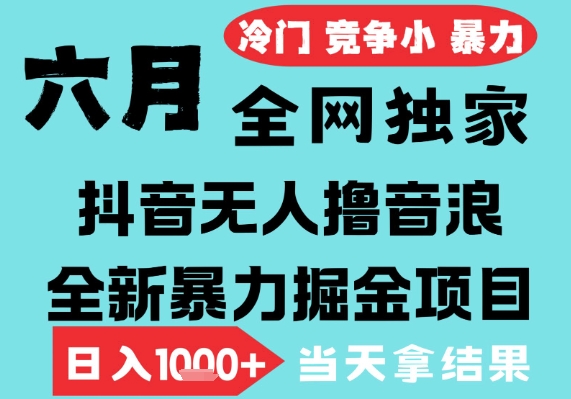 2025年6月高爆抖音无人直播最新撸音浪掘金项目,无脑日入1k+,低门槛小白可做,可矩阵放大【揭秘】插图 2025年6月高爆抖音无人直播最新撸音浪掘金项目,无脑日入1k+,低门槛小白可做,可矩阵放大【揭秘】