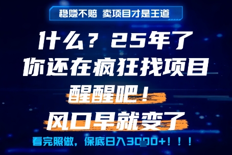 什么?25年你还在疯狂找项目做,醒醒吧,看完这些你全都懂了!【揭秘】插图 什么?25年你还在疯狂找项目做,醒醒吧,看完这些你全都懂了!【揭秘】