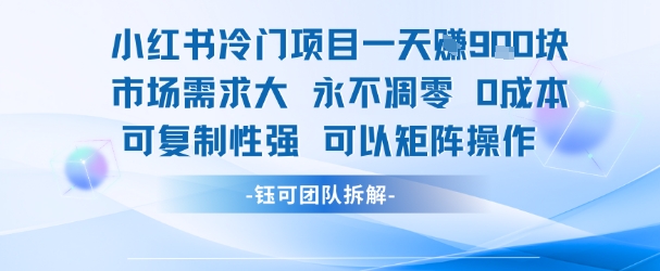 小红书冷门项目一天收益9张,市场需求大,0成本,可复制性强可以矩阵操作插图 小红书冷门项目一天收益9张,市场需求大,0成本,可复制性强可以矩阵操作
