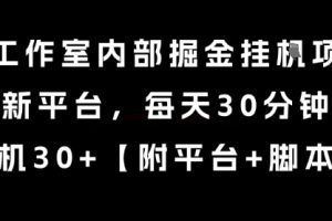 某工作室内部掘金挂G项目，新平台，每天30分钟，单机30+【揭秘】