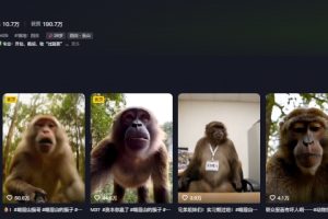 最新爆火的峨眉山猴子短视频制作教程，条条点赞10w+，谁做谁火【教程+提示词】