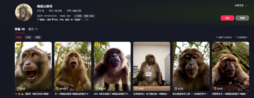 最新爆火的峨眉山猴子短视频制作教程,条条点赞10w+,谁做谁火【教程+提示词】插图1 最新爆火的峨眉山猴子短视频制作教程,条条点赞10w+,谁做谁火【教程+提示词】