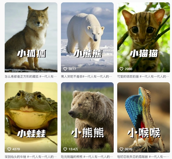 最新搞笑动物百科详细解说课程,蓝海赛道,流量非常大,轻松签独家进精选插图1 最新搞笑动物百科详细解说课程,蓝海赛道,流量非常大,轻松签独家进精选