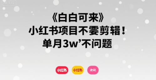 小白可来 小红书项目不需要剪辑 单月3w不是问题插图 小白可来 小红书项目不需要剪辑 单月3w不是问题