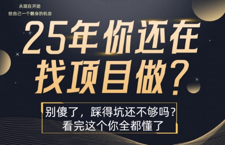 25年,你还在疯狂的找项目吗?别傻了,看完这个你都懂了【揭秘】插图 25年,你还在疯狂的找项目吗?别傻了,看完这个你都懂了【揭秘】