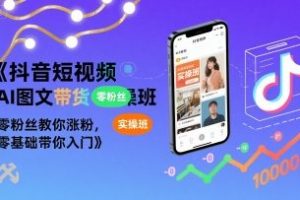 抖音短视频AI图文带货实操班，零粉丝教你涨粉，零基础带你入门