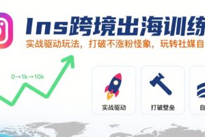 Ins跨境出海训练营，实战驱动玩法，打破不涨粉怪象，玩转社媒自然流量