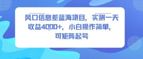 风口信息差蓝海项目,实测一天收益4k+,小白操作简单,可矩阵起号插图 风口信息差蓝海项目,实测一天收益4k+,小白操作简单,可矩阵起号