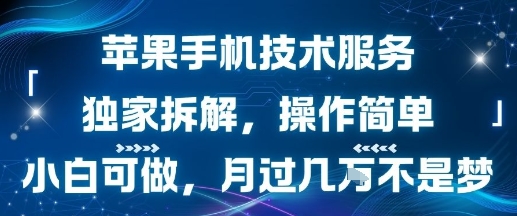 苹果手机技术服务,独家拆解,操作简单,小白可做,月过1W不是梦插图 苹果手机技术服务,独家拆解,操作简单,小白可做,月过1W不是梦