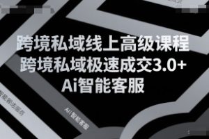 跨境私域线上高级课程，跨境私域极速成交3.0+Ai智能客服