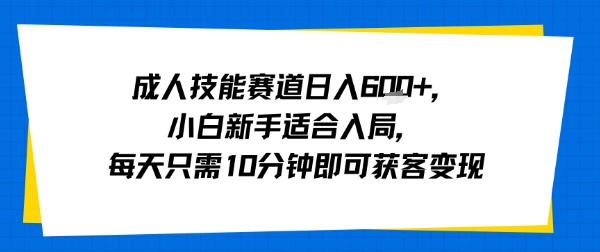成人技能赛道日入多张,小白新手适合入局,每天只需10分钟即可获客变现插图 成人技能赛道日入多张,小白新手适合入局,每天只需10分钟即可获客变现