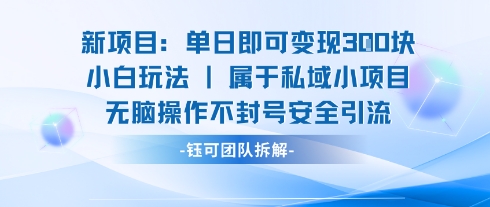 新项目单日即可变现3张的小白玩法无脑操作不封号安全引流插图 新项目单日即可变现3张的小白玩法无脑操作不封号安全引流