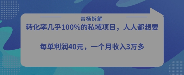 转化率最高的私域项目,每单利润40-50米,月入过1w插图 转化率最高的私域项目,每单利润40-50米,月入过1w