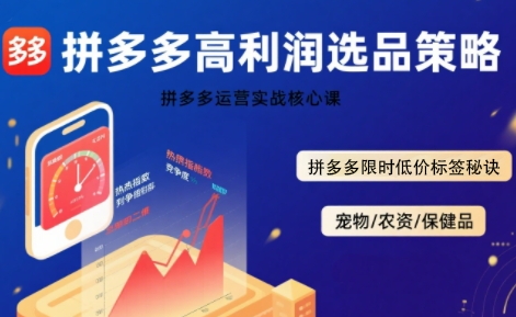 拼多多选品暴利技术实战课,拼多多高利润选品策略,拼多多限时低价标签秘诀插图 拼多多选品暴利技术实战课,拼多多高利润选品策略,拼多多限时低价标签秘诀