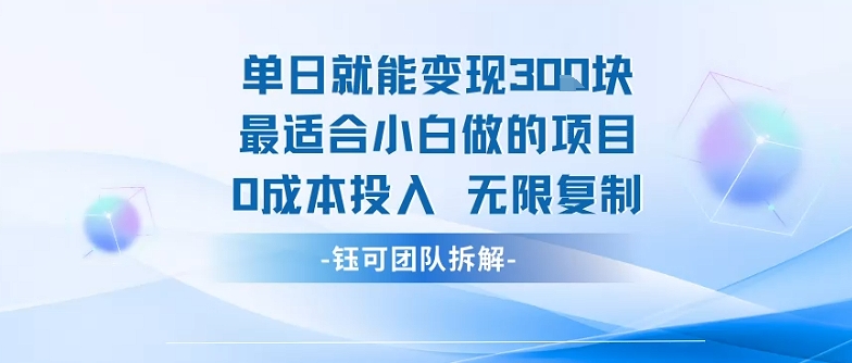 单日就能变现3张最适合小白做的项目0成本投入 无限复制插图 单日就能变现3张最适合小白做的项目0成本投入 无限复制