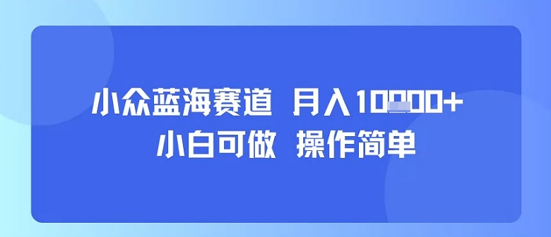 小众蓝海赛道,小白可做,操作简单,每天30分钟,月入1W+插图 小众蓝海赛道,小白可做,操作简单,每天30分钟,月入1W+